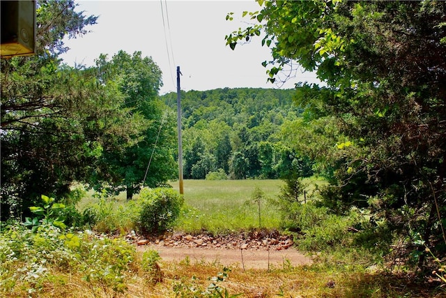 Madison 3370, Witter, AR 72776 - photo 14