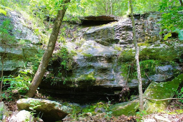 Madison 3370, Witter, AR 72776 - photo 19