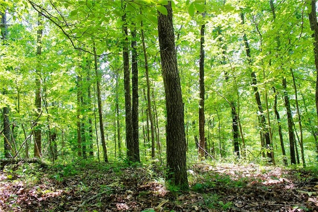 Madison 3370, Witter, AR 72776 - photo 23
