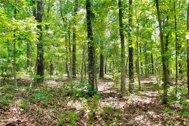 Madison 3370, Witter, AR 72776 - photo 25