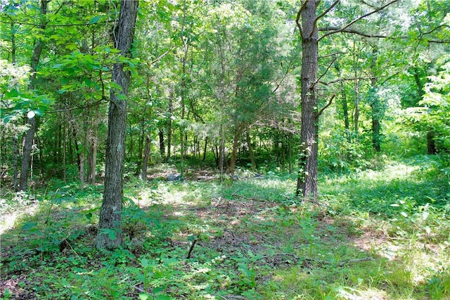 Madison 3370, Witter, AR 72776 - photo 39