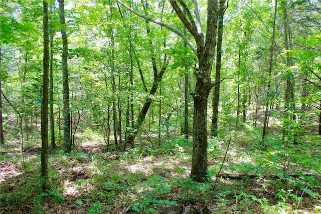 Madison 3370, Witter, AR 72776 - photo 26