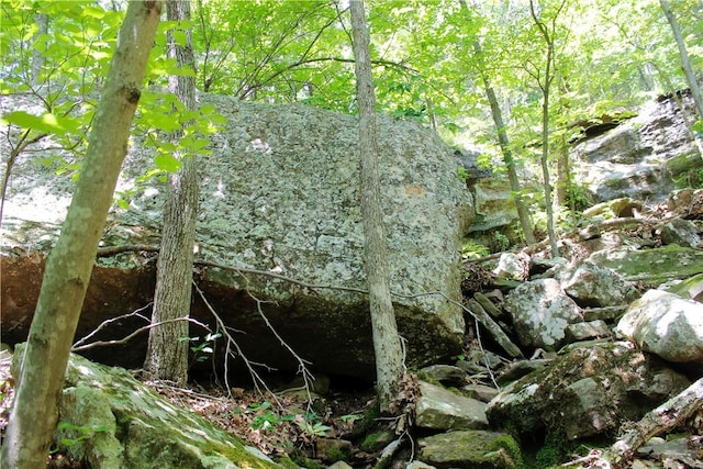 Madison 3370, Witter, AR 72776 - photo 27