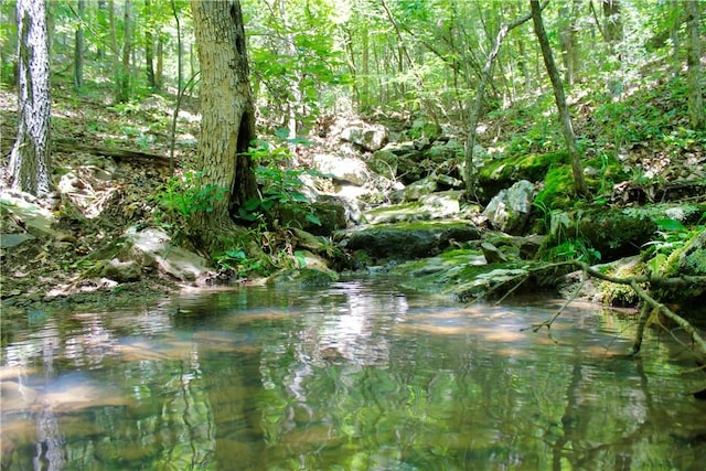 Madison 3370, Witter, AR 72776 - photo 28