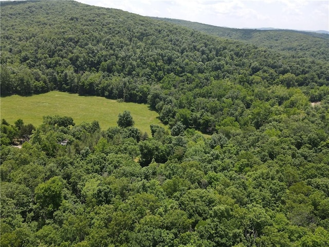 Madison 3370, Witter, AR 72776 - photo 31