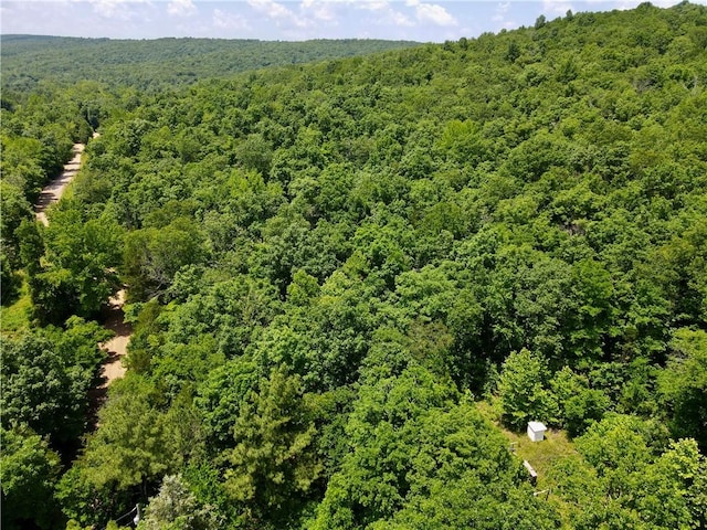 Madison 3370, Witter, AR 72776 - photo 33