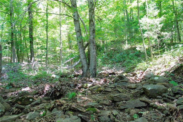 Madison 3370, Witter, AR 72776 - photo 34