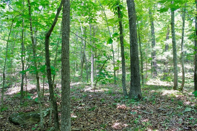 Madison 3370, Witter, AR 72776 - photo 35