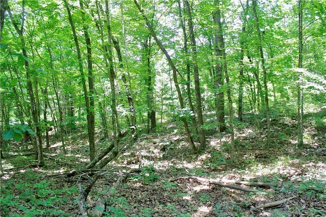 Madison 3370, Witter, AR 72776 - photo 36