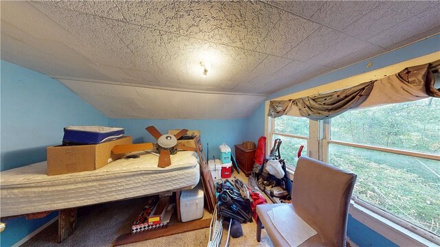 290 W 22nd St, Fayetteville, AR 72701 - photo 13