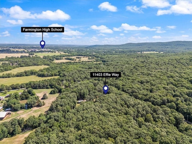11403 Effie Way, Farmington, AR 72730 - bird's eye view of a forest