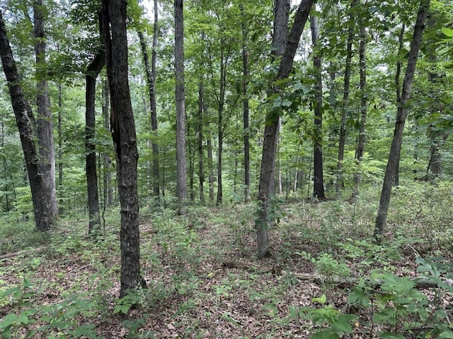 LOT7 Eccleston Ln, Bella Vista, AR 72714 - photo 1