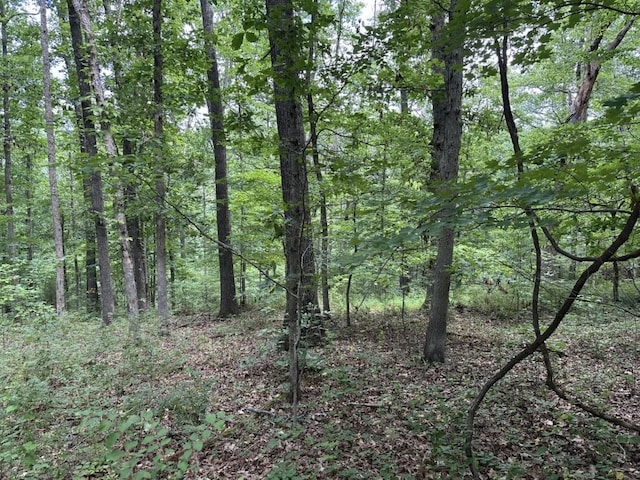 LOT7 Eccleston Ln, Bella Vista, AR 72714 - photo 2