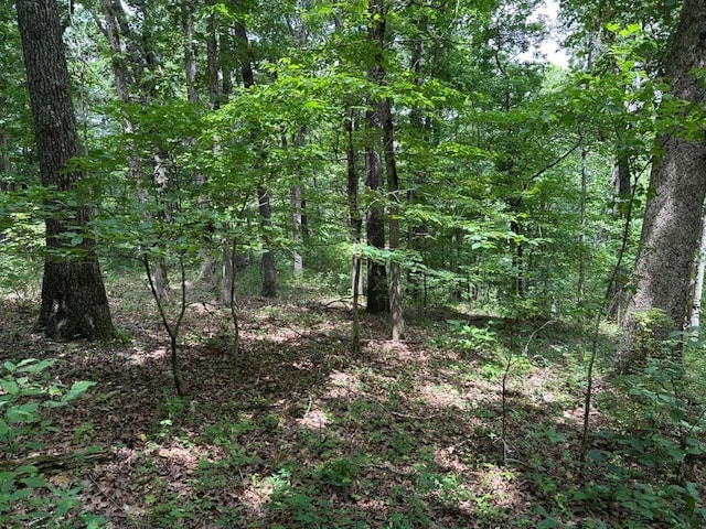 LOT7 Eccleston Ln, Bella Vista, AR 72714 - photo 3
