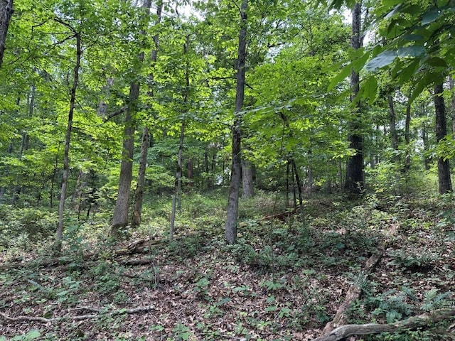 LOT7 Eccleston Ln, Bella Vista, AR 72714 - photo 4