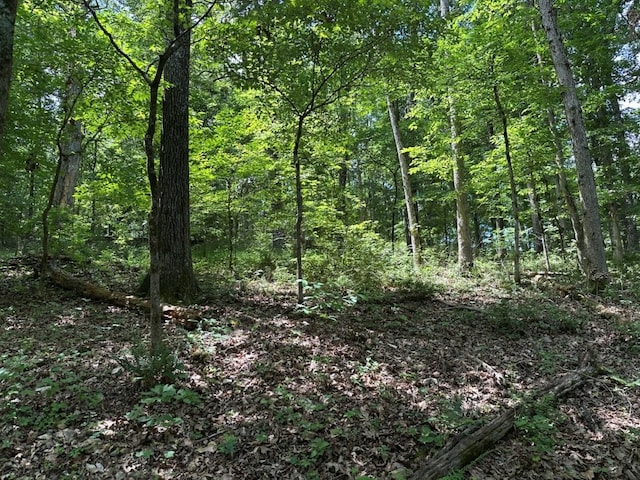 LOT7 Eccleston Ln, Bella Vista, AR 72714 - photo 5