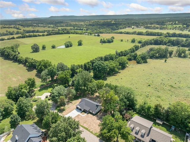 1348 Columbine Cv, Harrison, AR 72601 - aerial view of sparsely populated area