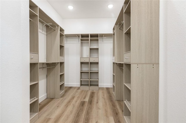 1348 Columbine Cv, Harrison, AR 72601 - walk in closet featuring light wood-type flooring