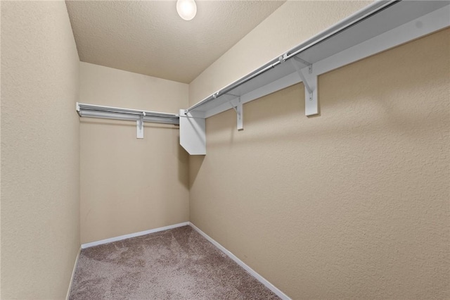 2504 Maplewood Ave, Lowell, AR 72745 - spacious closet with carpet floors