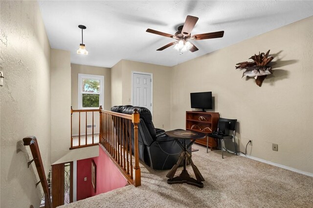 15196 Cincinnati Creek Rd, Summers, AR 72769 - photo 23