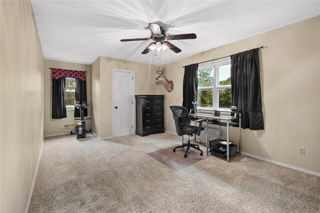 15196 Cincinnati Creek Rd, Summers, AR 72769 - photo 24