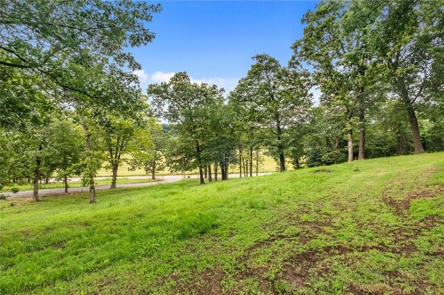 15196 Cincinnati Creek Rd, Summers, AR 72769 - photo 29