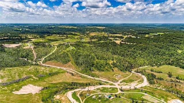 Carlton Dr, Decatur, AR 72722