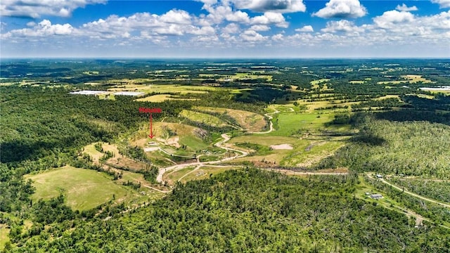 22842 Carlton Dr, Decatur, AR 72722 - view of property location