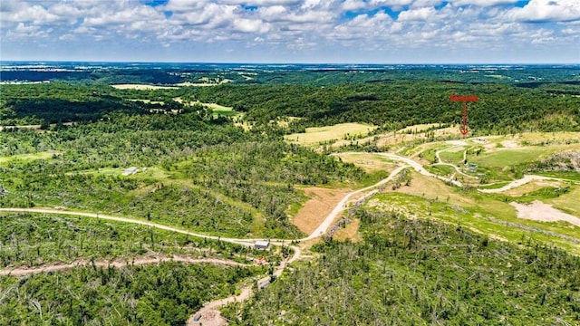 22842 Carlton Dr, Decatur, AR 72722 - bird's eye view of a forest