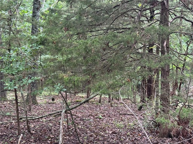 LOT59 W Airport Dr, Garfield, AR 72732