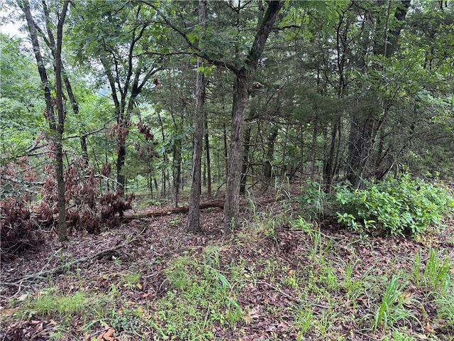 LOT59 W Airport Dr, Garfield, AR 72732