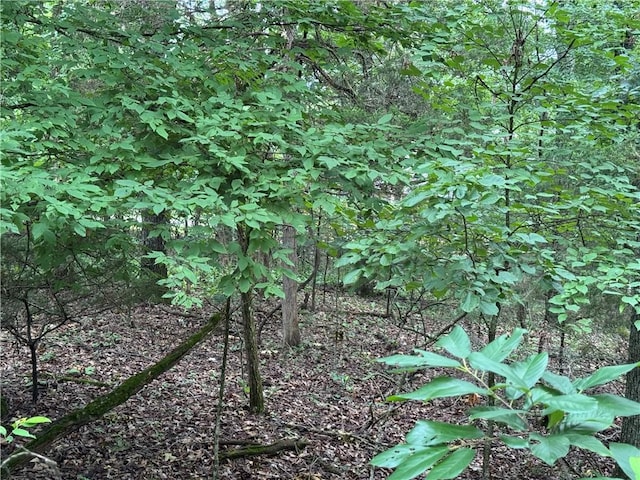 LOT59 W Airport Dr, Garfield, AR 72732