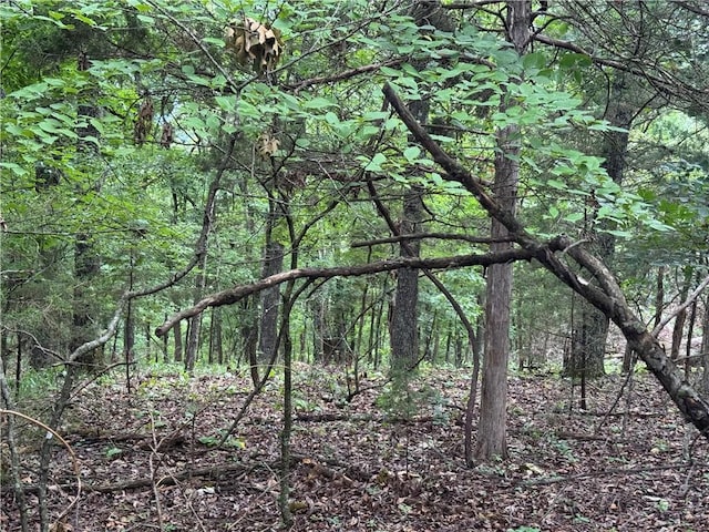 LOT59 W Airport Dr, Garfield, AR 72732