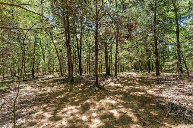 3389 Madison Unit 2405, Huntsville, AR 72740 - view of tree filled area