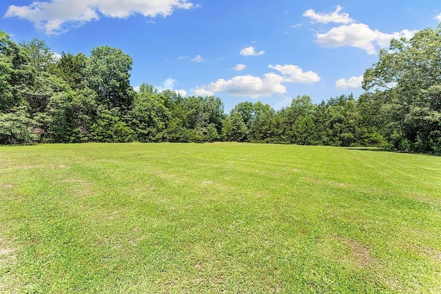 3389 Madison Unit 2405, Huntsville, AR 72740 - view of green lawn featuring a forest view