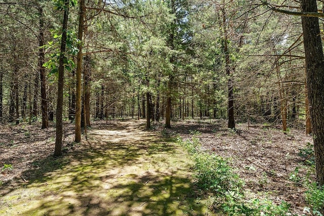 3389 Madison Unit 2405, Huntsville, AR 72740 - view of wooded area