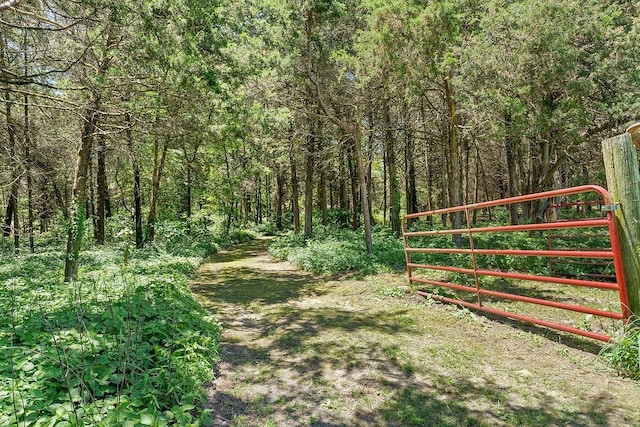 3389 Madison Unit 2405, Huntsville, AR 72740 - view of yard with a wooded view