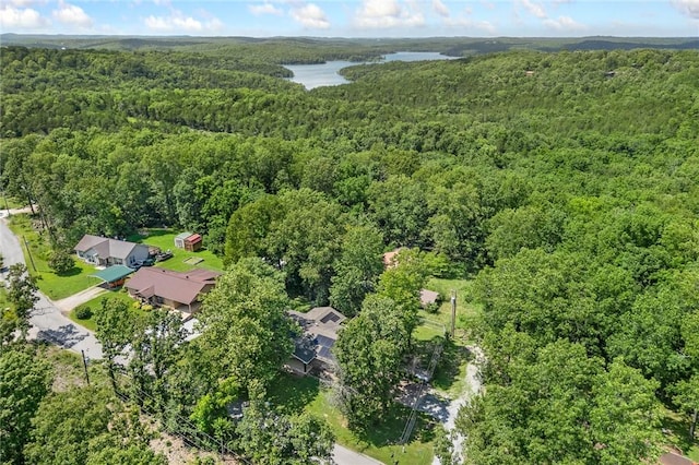 261 S Lake Park Loop, Mountain Home, AR 72653 - photo 4