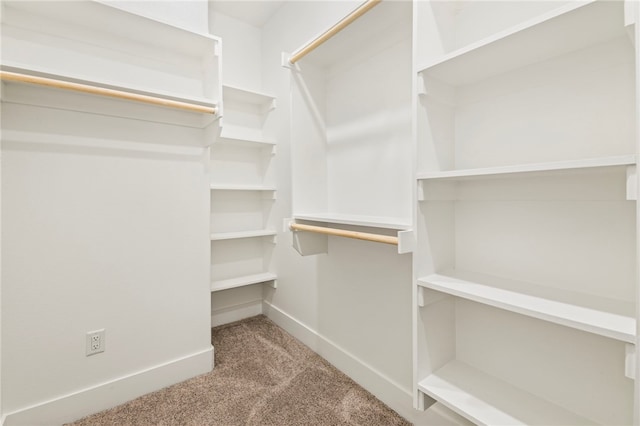 1052 Morra Ave, Tontitown, AR 72762 - walk in closet featuring carpet