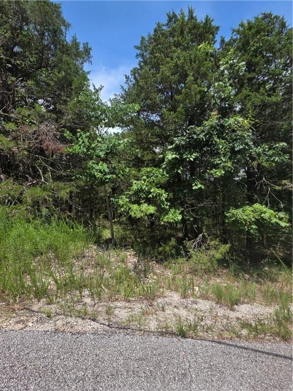 55 Eagle Dr, Holiday Island, AR 72631 - photo 1