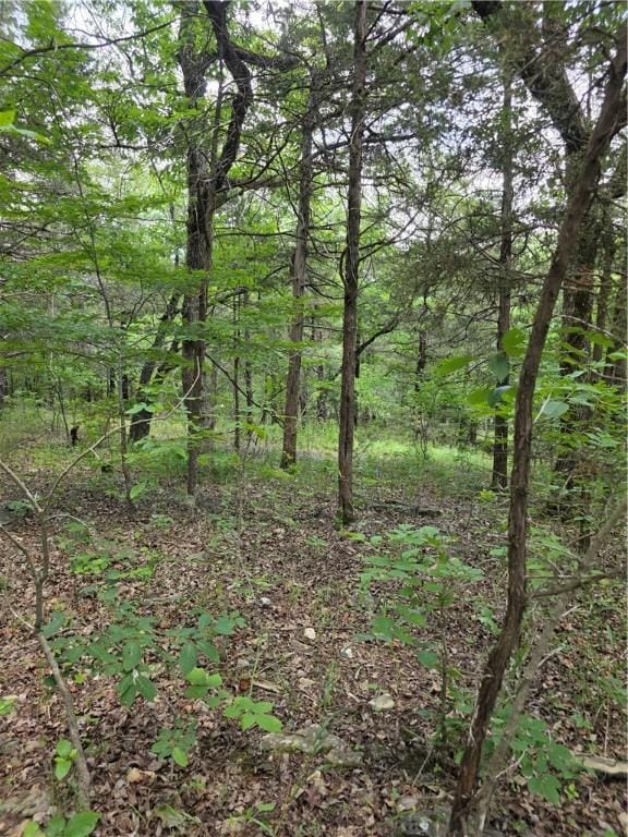 55 Eagle Dr, Holiday Island, AR 72631 - photo 4