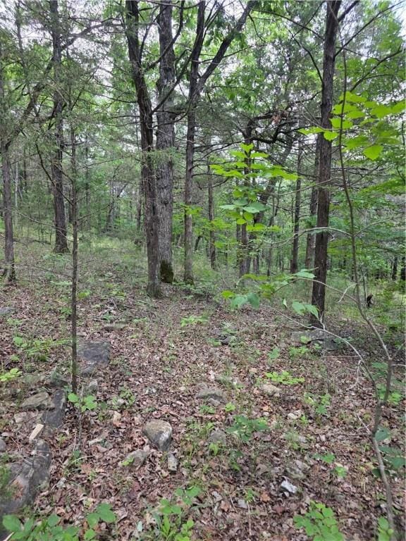 55 Eagle Dr, Holiday Island, AR 72631 - photo 3