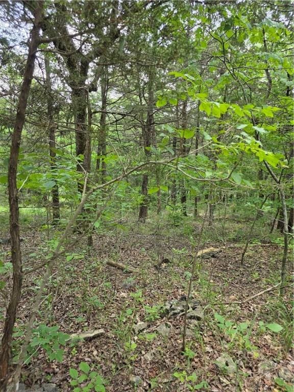 55 Eagle Dr, Holiday Island, AR 72631 - photo 5