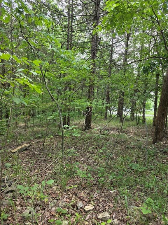 55 Eagle Dr, Holiday Island, AR 72631 - photo 2