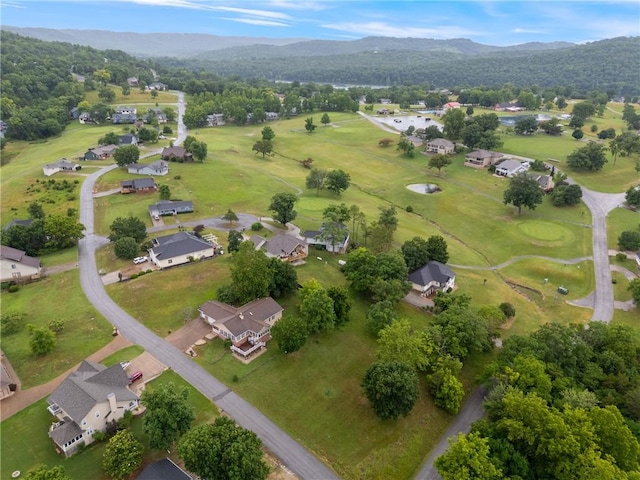3 Colt Ln, Holiday Island, AR 72631 - photo 25