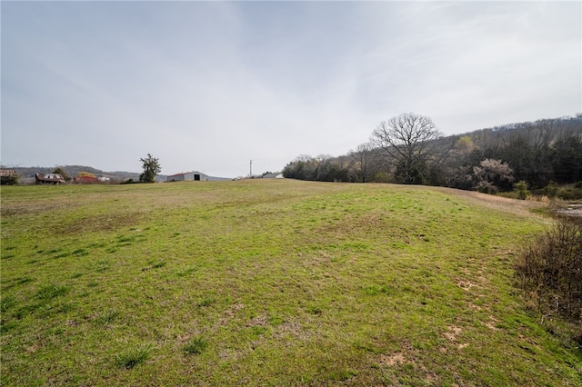 TBD White Water Rd, Rudy, AR 72952