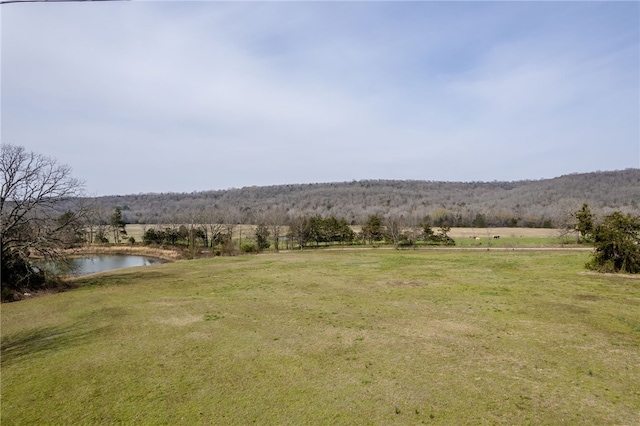 TBD White Water Rd, Rudy, AR 72952