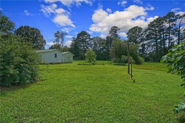 10746 Sr 27, Hector, AR 72843 - view of green lawn