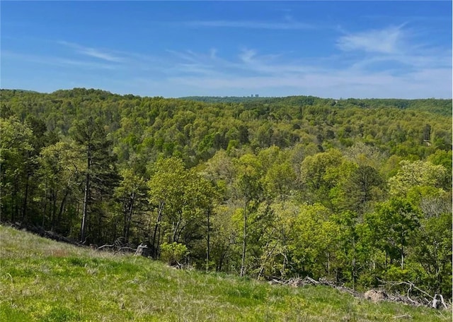 1602 County Road 148, Eureka Springs, AR 72632 - photo 26