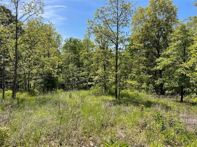 1602 County Road 148, Eureka Springs, AR 72632
